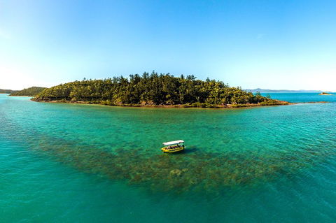 Airlie Beach Glass Bottom Boat Tour - Accommodation Bookings 3