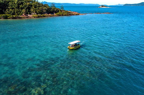 Airlie Beach Glass Bottom Boat Tour - Accommodation Bookings 4