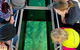 Airlie Beach Glass Bottom Boat Tour - thumb 5