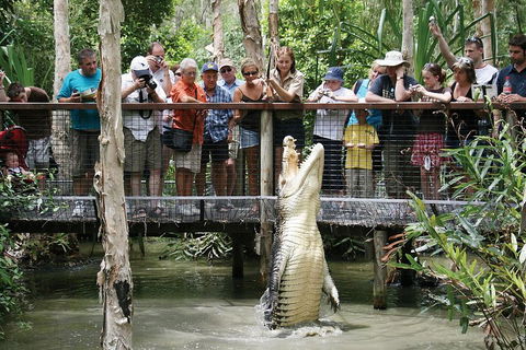 Hartley's Crocodile Adventure Half-Day Tour - Accommodation Bookings 1