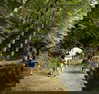Discover Tour Dandenong Ranges  William Ricketts Sanctuary - Accommodation Bookings