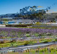 Private Hobart Discover South East Food and Scenic Tour - Accommodation Bookings