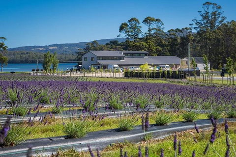 Private Hobart Discover South East Food And Scenic Tour - Accommodation Bookings 0
