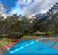 Tahune Airwalk Active Day Trip from Hobart Including Hastings Caves - Accommodation Bookings