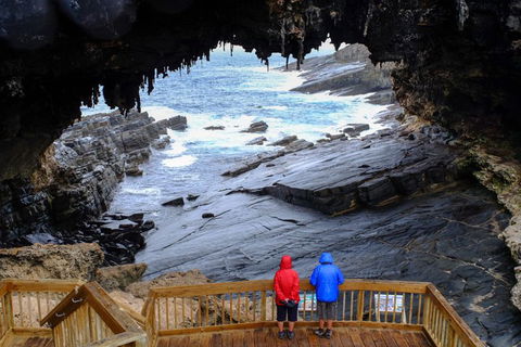 Full-Day Kangaroo Island Safari From Penneshaw - Accommodation Bookings 1