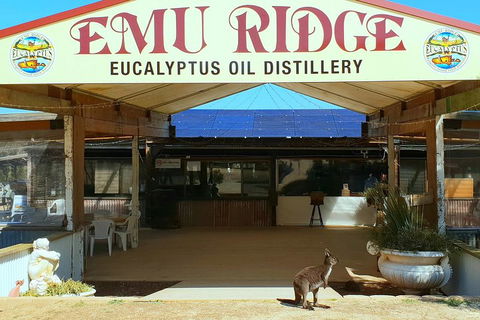 Full-Day Kangaroo Island Safari From Penneshaw - Accommodation Bookings 2