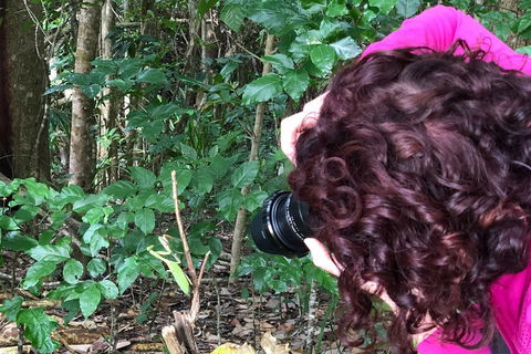 Let's Go Buggin & Let's Go Shroomin - Photography & Nature Walking Tours - Accommodation Bookings 1