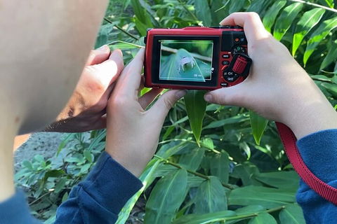 Let's Go Buggin & Let's Go Shroomin - Photography & Nature Walking Tours - Accommodation Bookings 2