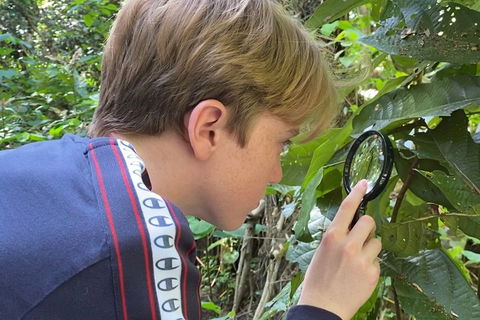 Let's Go Buggin & Let's Go Shroomin - Photography & Nature Walking Tours - Accommodation Bookings 3