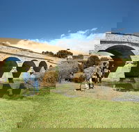 Richmond Historic Afternoon Tour from Hobart - Accommodation Bookings