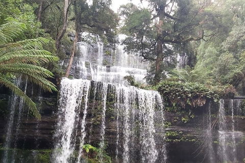 6-Day Hearty Tasmania Tour (Tasmania In A Circle) - Accommodation Bookings 0