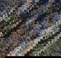 Leven Canyon Day Trip Including Wings Wildlife Park or Gunns Plains Caves - Accommodation Bookings