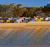 Mornington Peninsula Small Group day tour - Accommodation Bookings