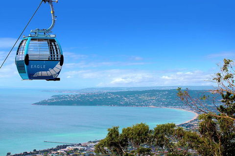 Mornington Peninsula Small Group Day Tour - Accommodation Bookings 2