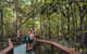 Full Day Cooktown Private Tour - thumb 1