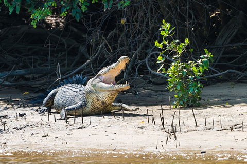Full Day Cooktown Private Tour - Accommodation Bookings 4