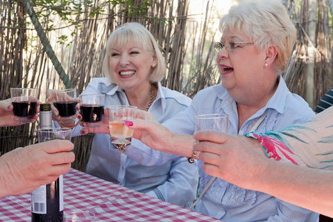 4-Night Murray River Cruise By Classic Paddle Wheeler PS Murray Princess - Accommodation Bookings 0