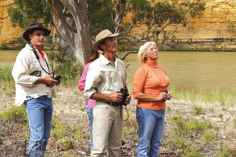 4-Night Murray River Cruise By Classic Paddle Wheeler PS Murray Princess - Accommodation Bookings 2