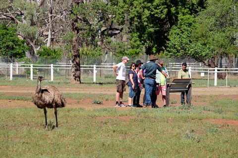 Yura Udnyu - Our Culture, Your Culture (Aboriginal Cultural Walk) - Accommodation Bookings 1