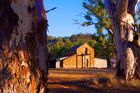 Yura Udnyu - Our Culture, Your Culture (Aboriginal Cultural Walk) - Accommodation Bookings 4