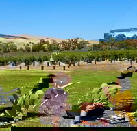Private Picnic and Wine Tasting Experience in Barossa Valley - Accommodation Bookings