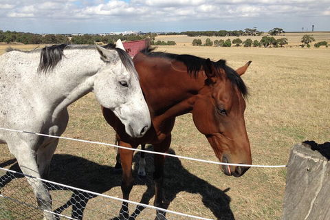 Legends & Champions Tour - Accommodation Bookings 1