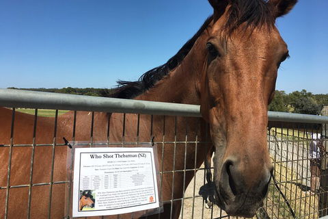 Legends & Champions Tour - Accommodation Bookings 4