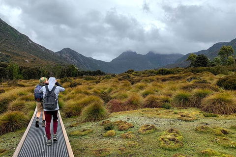 3 Day Tasmanian Wild West Coast Tour From Hobart To Launceston - Accommodation Bookings 3