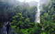 3 Day Tasmanian Wild West Coast Tour From Hobart To Launceston - thumb 4