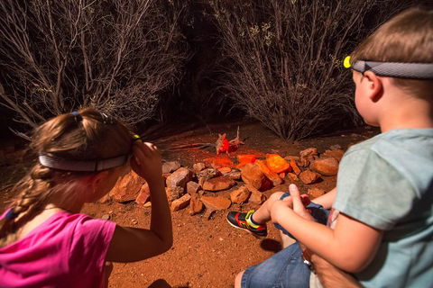 Alice Springs Desert Park Nocturnal Tour - Accommodation Bookings 4
