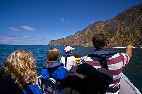 Seal Island Boat Tour From Victor Harbor - Accommodation Bookings 0