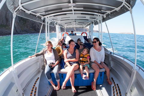 Seal Island Boat Tour From Victor Harbor - Accommodation Bookings 1