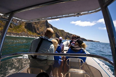 Seal Island Boat Tour From Victor Harbor - Accommodation Bookings 2