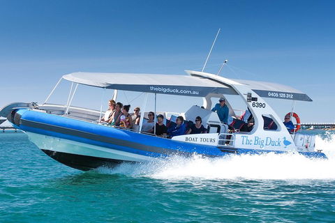 Seal Island Boat Tour From Victor Harbor - Accommodation Bookings 3