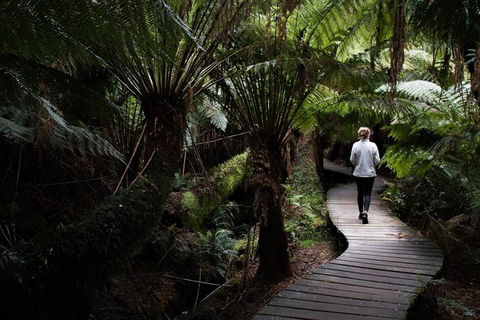 Private Tour Of Melbourne - Accommodation Bookings 2