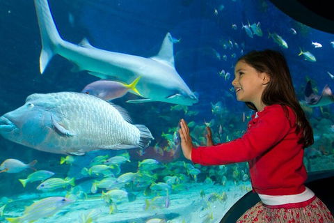 Melbourne BIG Ticket - LEGOLAND Discovery And SEA LIFE Melbourne - Accommodation Bookings 1