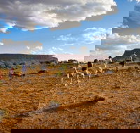 Mount Conner 4WD Small Group Tour from Ayers Rock including Dinner - Accommodation Bookings
