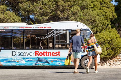 Discover Rottnest With Ferry & Bus Tour From Perth Or Fremantle - Accommodation Bookings 1