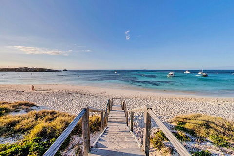 Discover Rottnest With Ferry & Bus Tour From Perth Or Fremantle - Accommodation Bookings 4