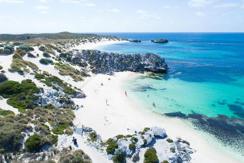 Discover Rottnest With Ferry & Bus Tour From Perth Or Fremantle - Accommodation Bookings 5