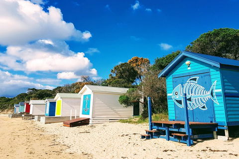 Mornington Peninsula Day Trip From Melbourne - Accommodation Bookings 2