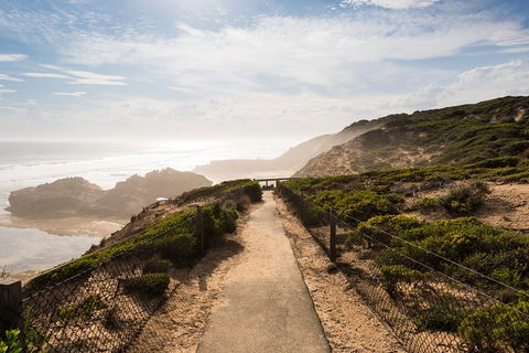 Mornington Peninsula Day Trip From Melbourne - Accommodation Bookings 4