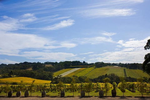 Mornington Peninsula Day Trip From Melbourne - Accommodation Bookings 5