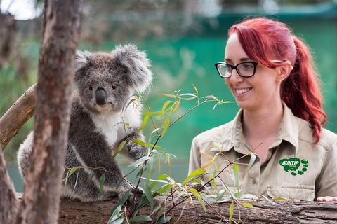 Small-Group Phillip Island Penguin Parade Day Tour From Melbourne - Accommodation Bookings 0
