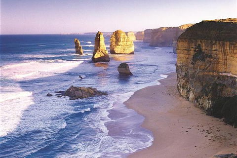 Melbourne Combo: Great Ocean Road, Puffing Billy, Moonlit Sanctuary & Penguins - Accommodation Bookings 0