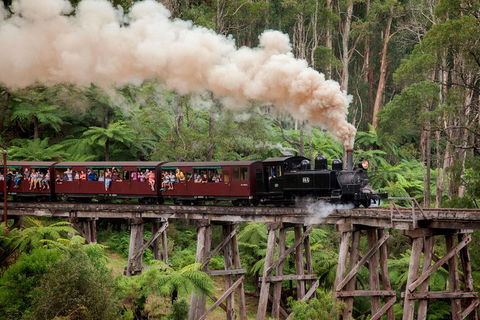 Melbourne Combo: Great Ocean Road, Puffing Billy, Moonlit Sanctuary & Penguins - Accommodation Bookings 1