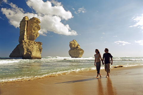 Melbourne Combo: Great Ocean Road, Puffing Billy, Moonlit Sanctuary & Penguins - Accommodation Bookings 2