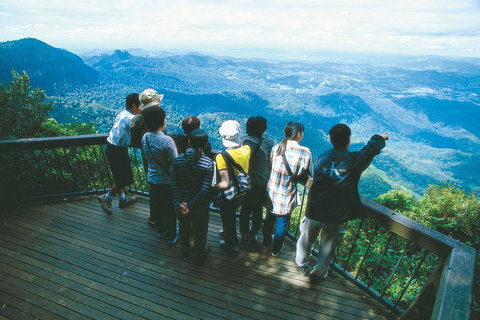Springbrook National Park & Gold Coast Full Day Luxury Tour From Brisbane - Accommodation Bookings 0