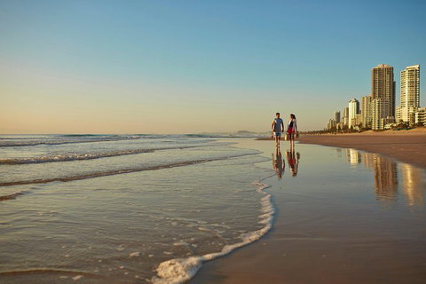 Springbrook National Park & Gold Coast Full Day Luxury Tour From Brisbane - Accommodation Bookings 1