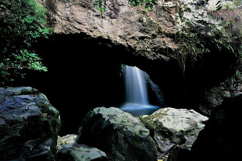 Springbrook National Park & Gold Coast Full Day Luxury Tour From Brisbane - Accommodation Bookings 2